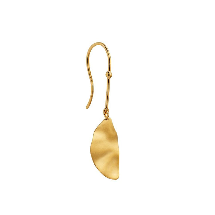 HOOK WITH GOLDEN REFLECTION MOON EARRING RIGHT