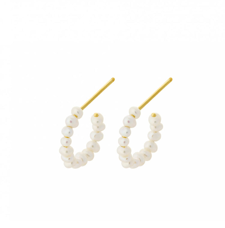 Ocean Treasure Hoops